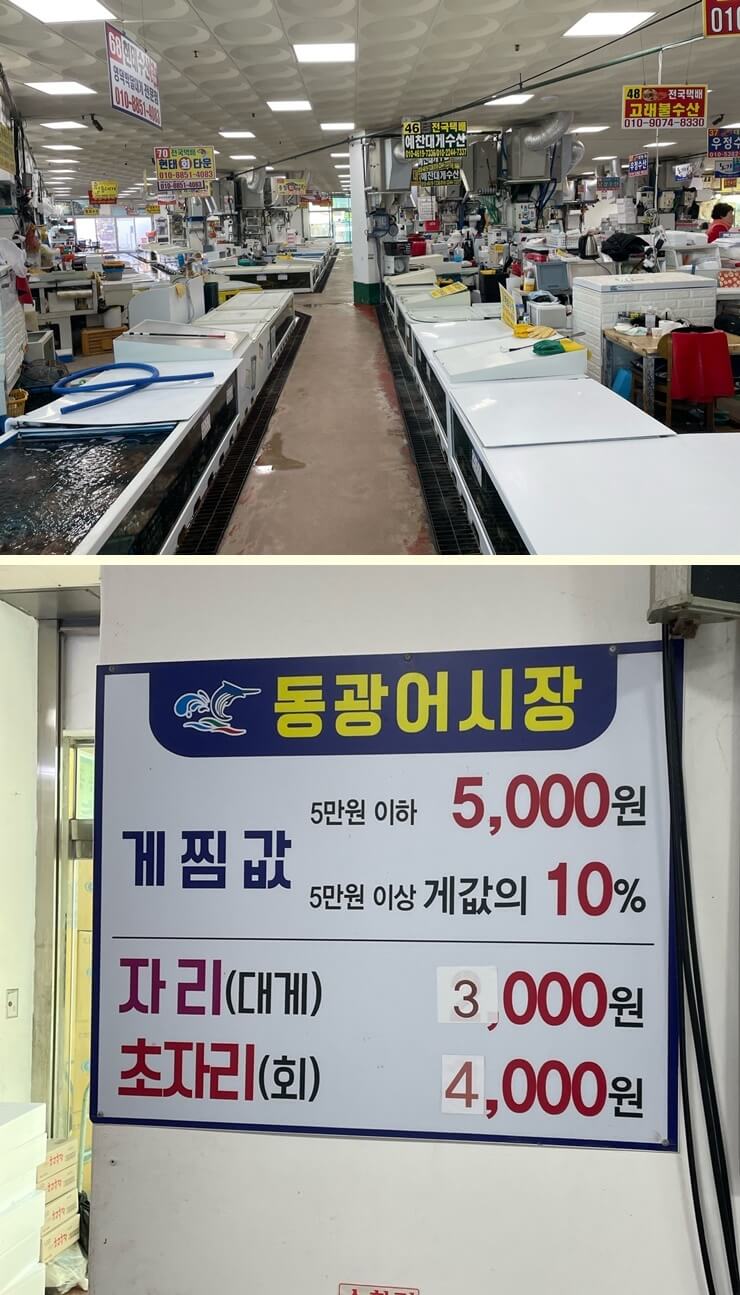영덕-대게가격-강구항-동광어시장