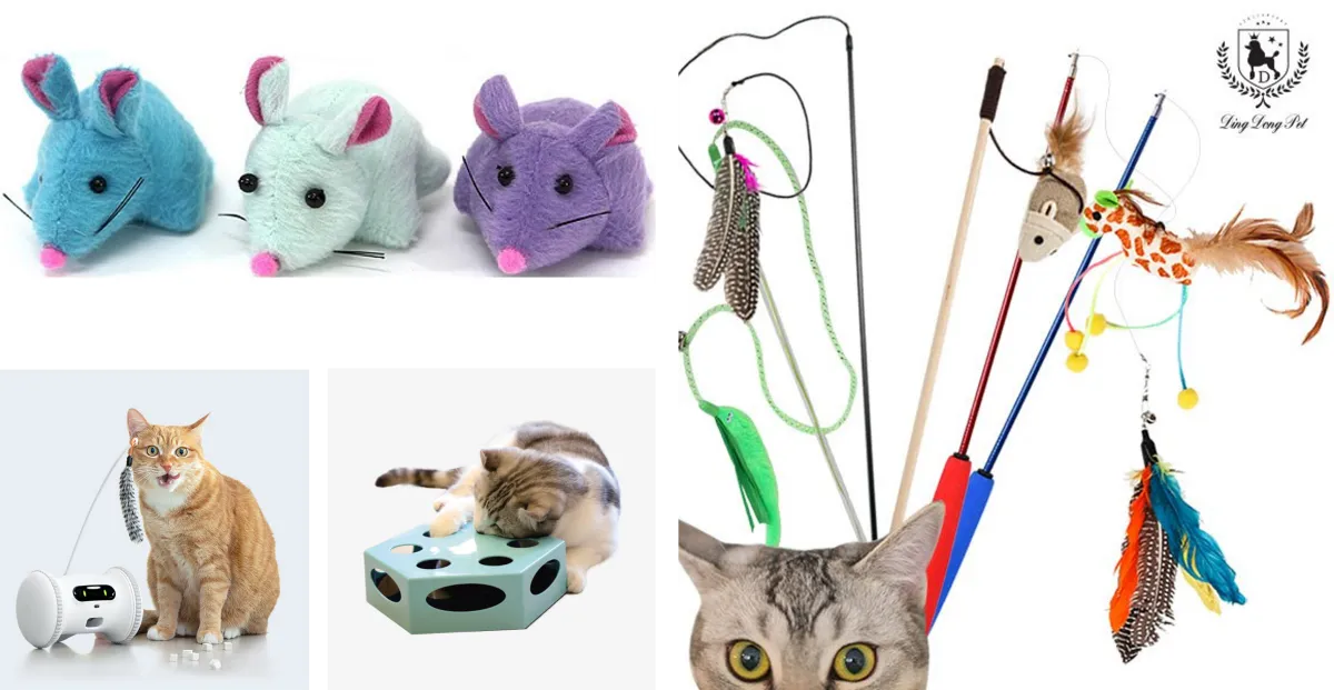 고양이-필수품-장난감-종류
