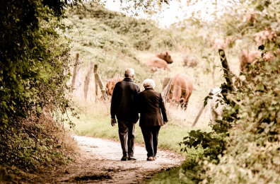 노인-기초연금-신청방법-자격조건