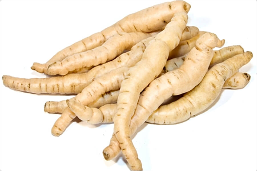 광동 경옥고 가격 및 실제후기