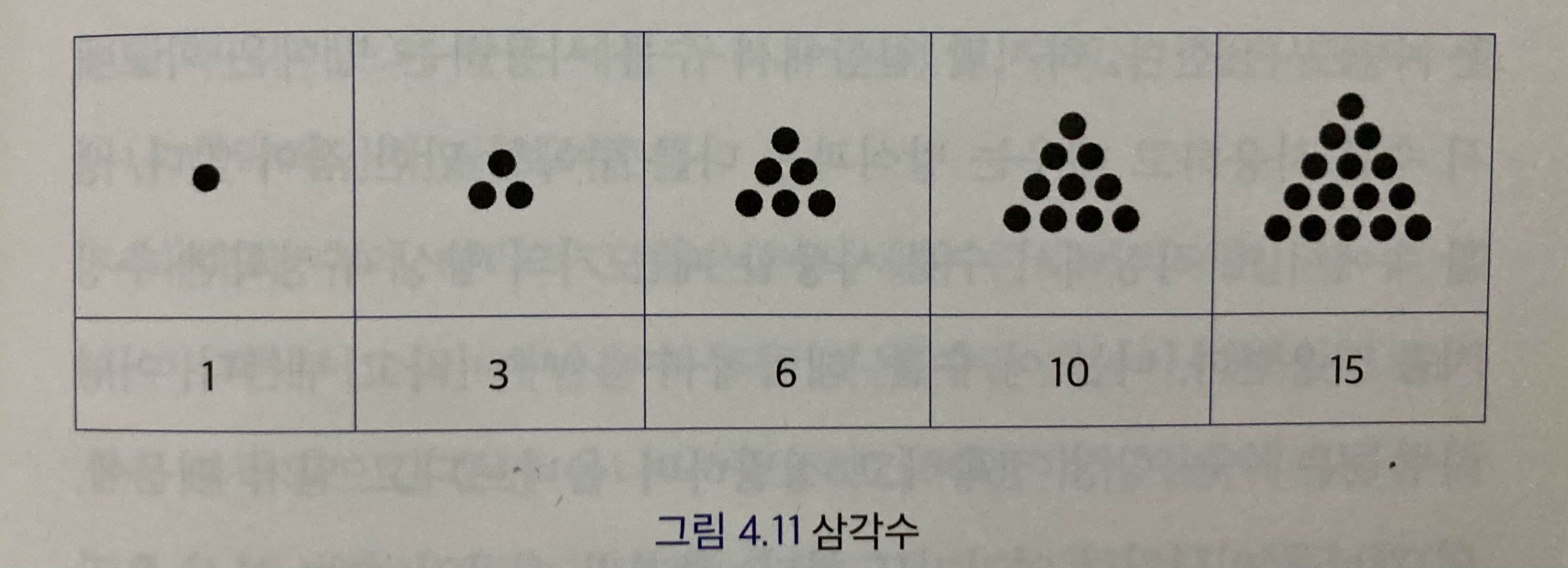 도표6_삼각수