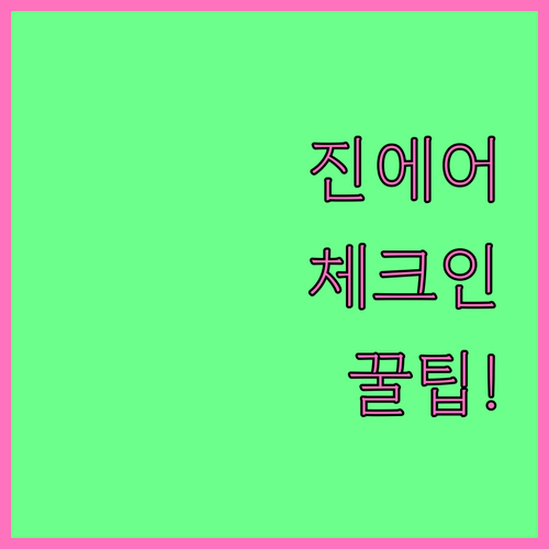 진에어 온라인 체크인 후 공항에서 빠..