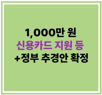 1,000만 원 신용카드 지원 등 +정부 추경안 확정
