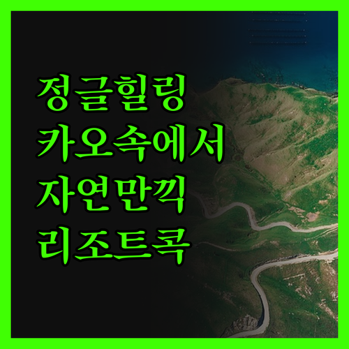 정글 속 힐링, 카오속 레인포레스트 