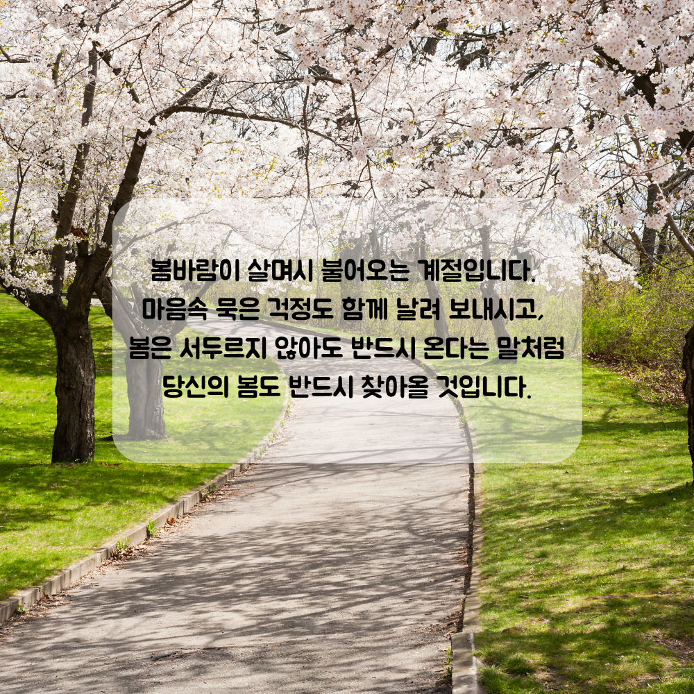 4월 인사말 문구 이미지 모음집 좋은글귀 봄 인사말