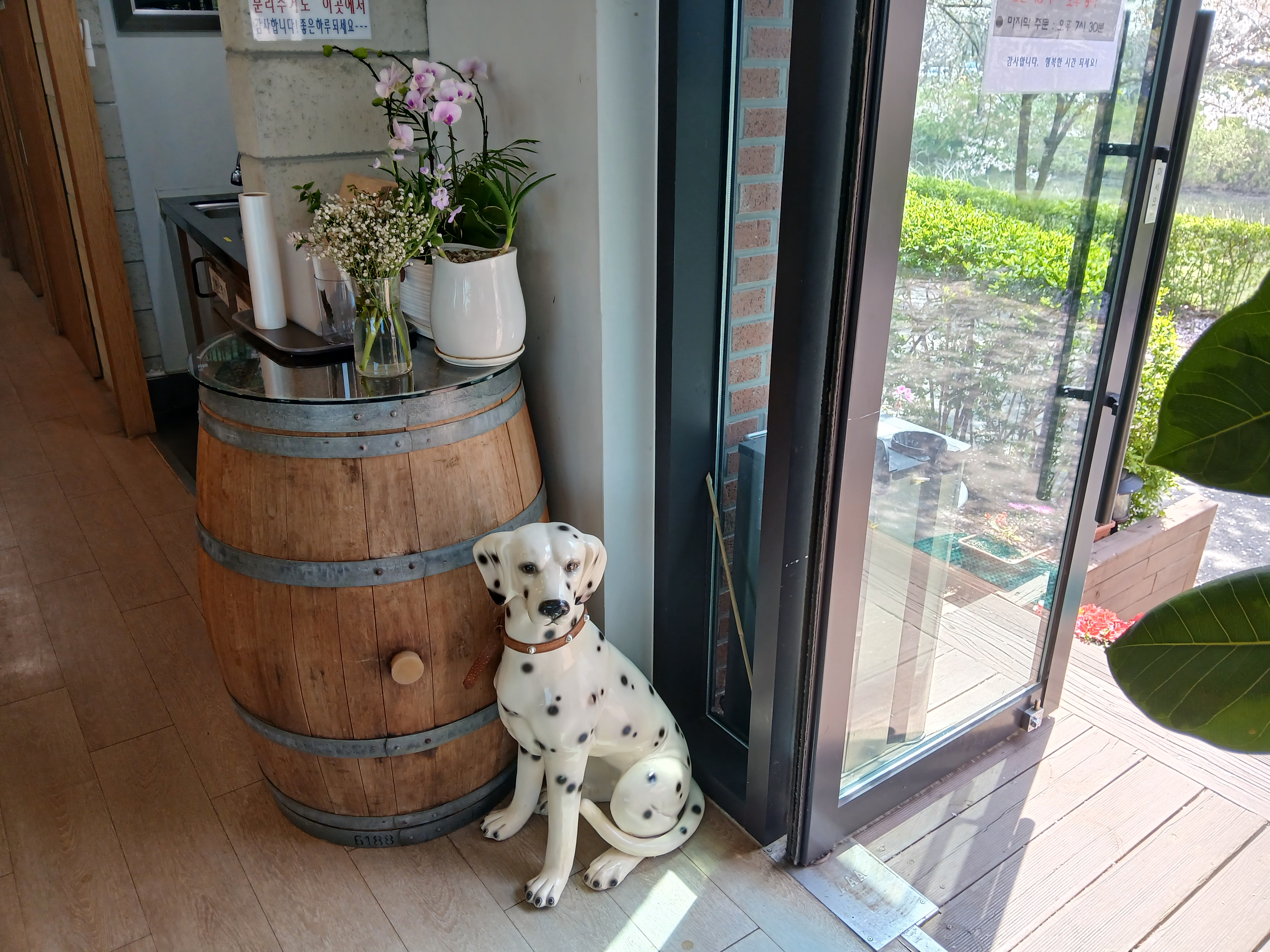 식물과 작은 오브제가 예쁜 카페 라르고