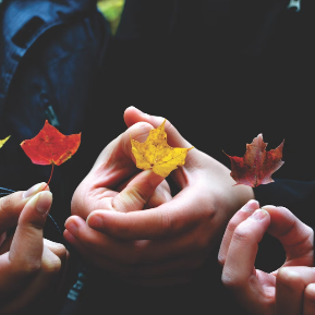 디즈니의 문화유산 보존, 다문화 표현, 문화 교육