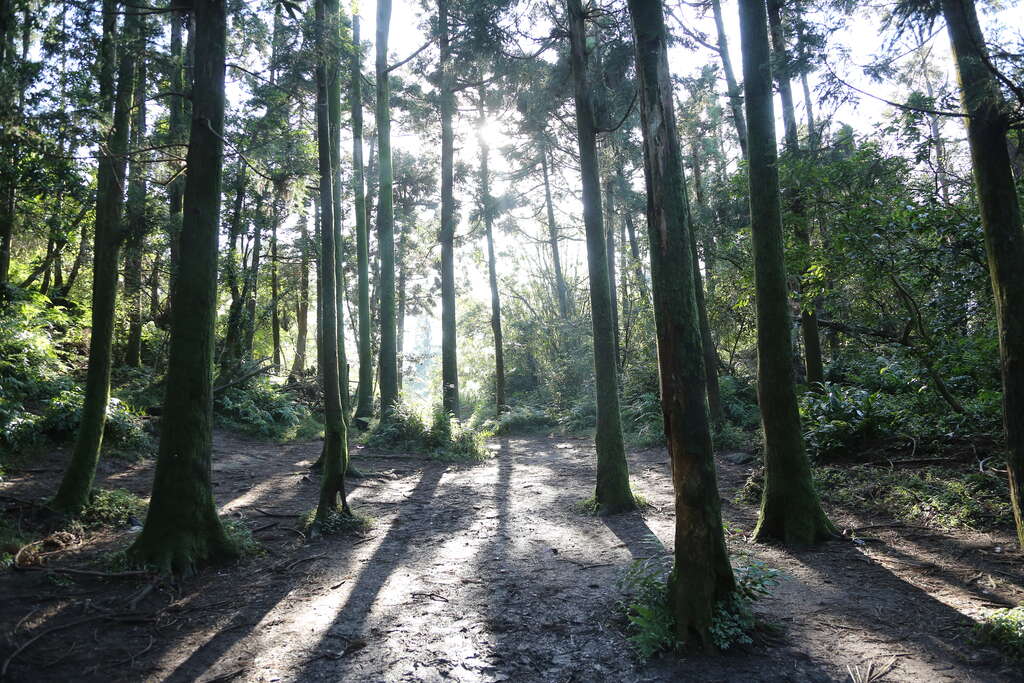 양밍산 국립공원