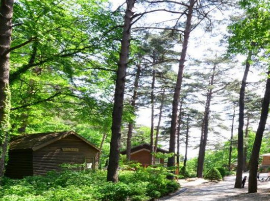 대관령-자연휴양림-전경