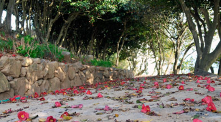 장사도 해상공원