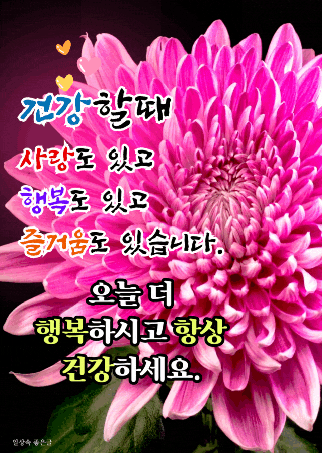 분홍색 국화 꽃 위에 건강과 행복 인사말이 여러 색 글씨로 적힌 감성 문구 이미지