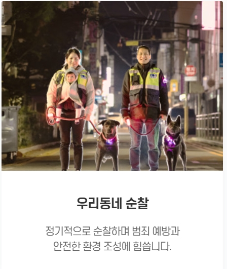 서울 반려견 순찰대