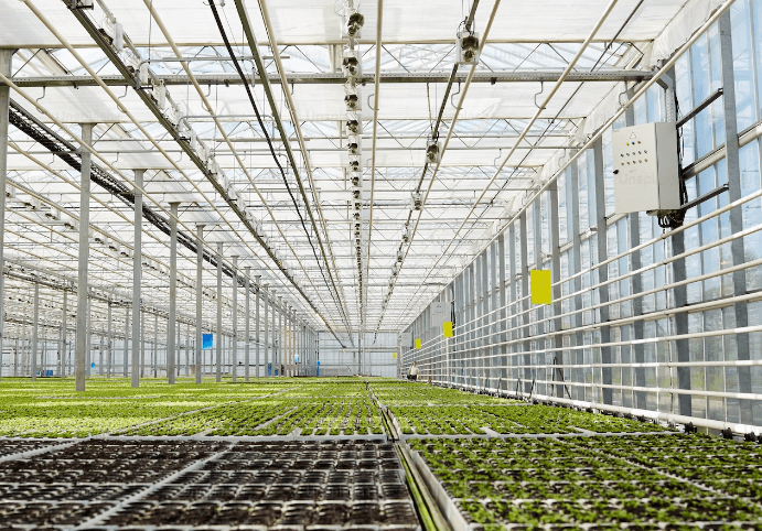 기후동행카드 기대효과