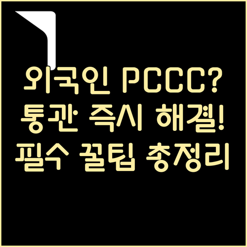 외국인 PCCC 정보 불일치 통관 보..