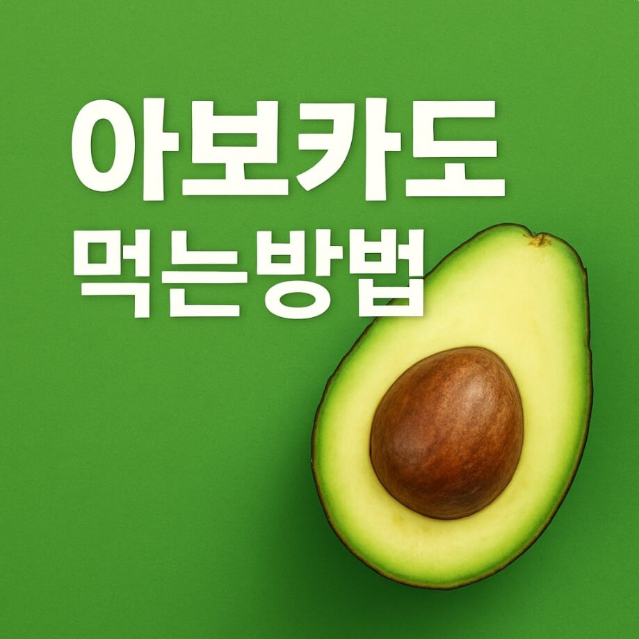 아보카도 먹는 방법