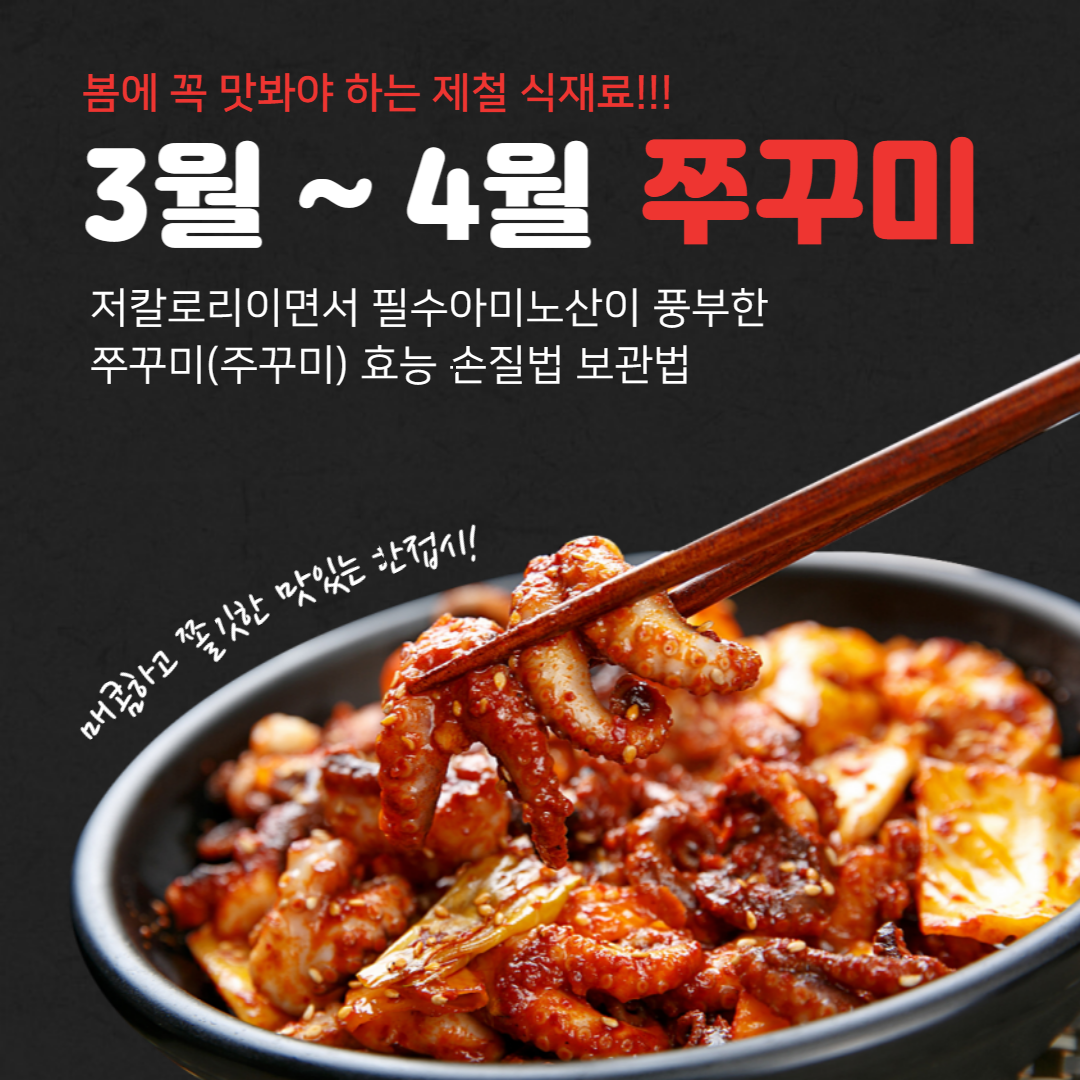 제철 쭈꾸미 효능과 손질법 보관법