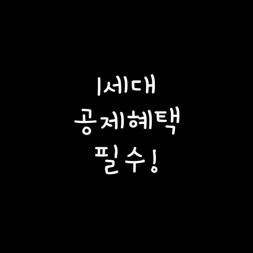 2026년 1세대 1주택 보유세 공제..