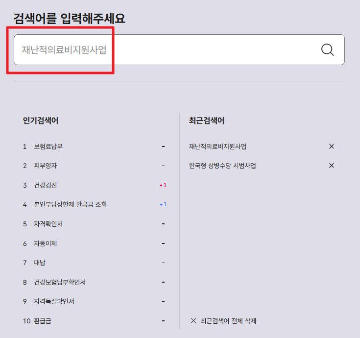 재난적의료비지원사업