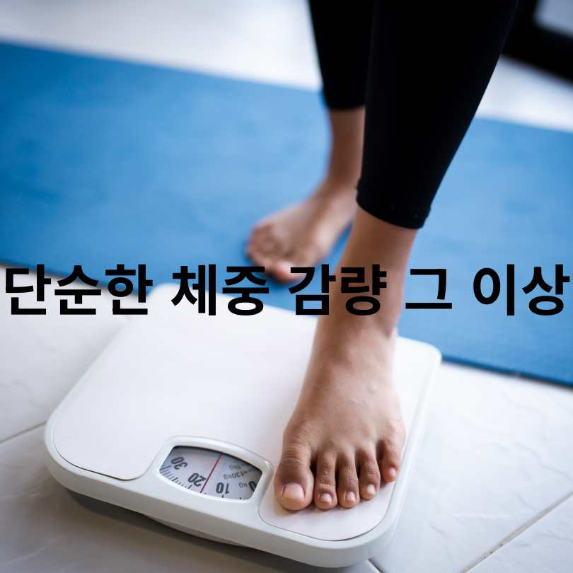 호르몬 다이어트 방법 완전 정복!