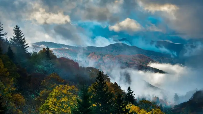 그레이트 스모키 마운틴스 국립공원 Great Smoky Mountains National Park
그레이트 스모키 마운틴스 국립공원 Great Smoky Mountains National Park