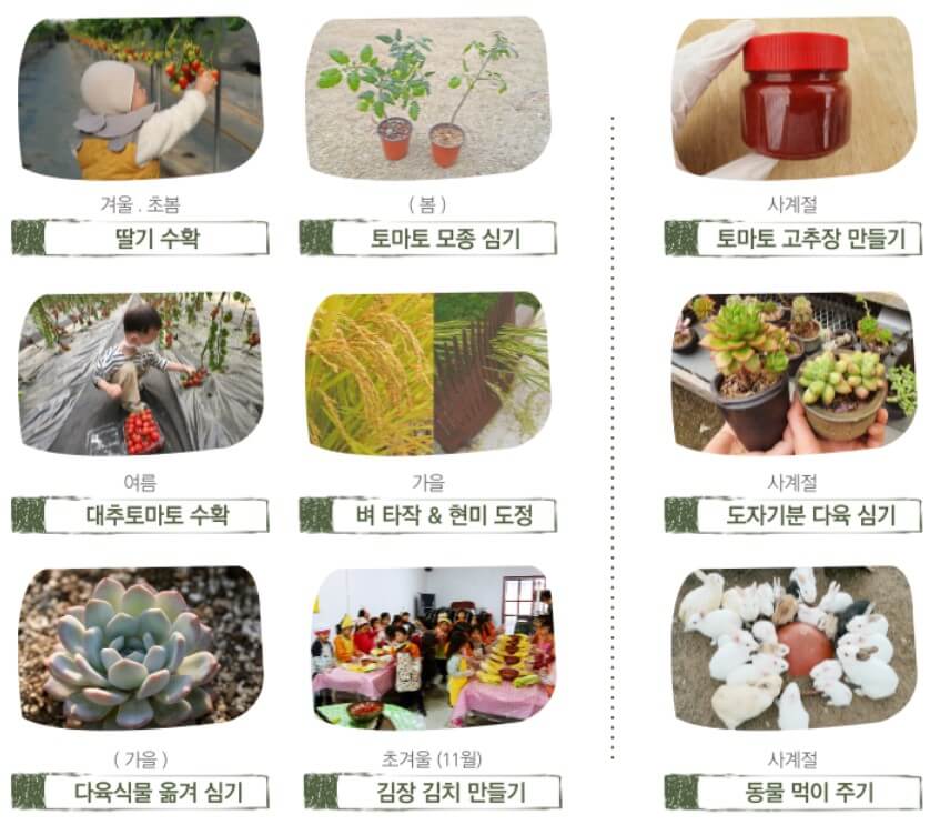 계절별 농촌 체험