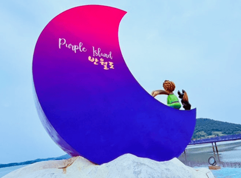 신안_퍼플섬_가는길