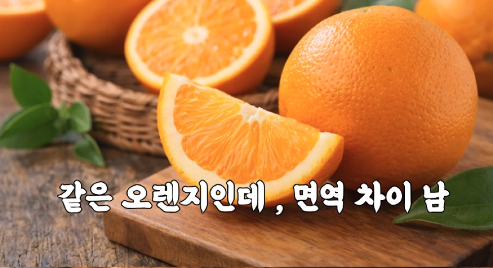 오렌지 효능 피로한 상태 모습