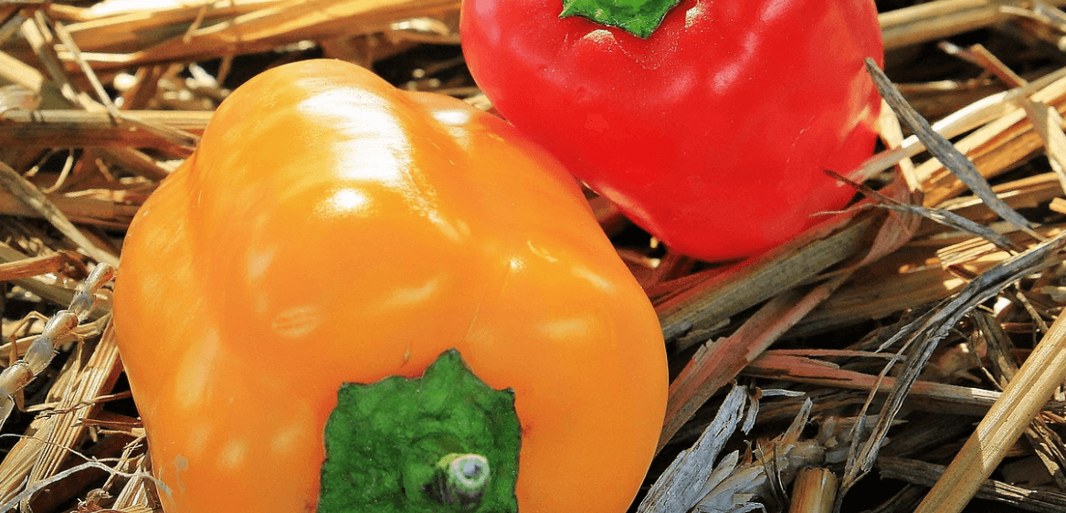 전립선에 좋은 음식 사진 - 29