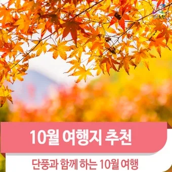 가을 단풍 여행지 베스트10 산책로 사진스팟 대중교통으로 여유롭게_13