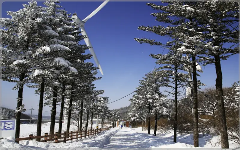 선자령 실시간 cctv, 날씨_9