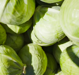 역류성식도염에 좋은 음식 영양제 식단