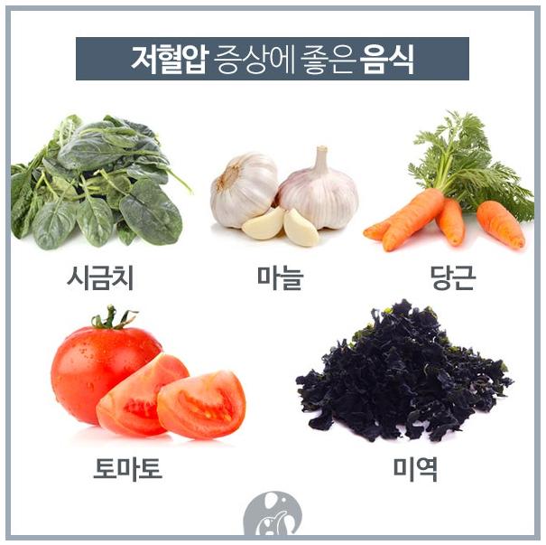 저혈압에 좋은음식