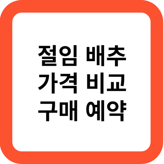 절임 배추 20kg