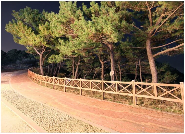 소나무 향기 펜션