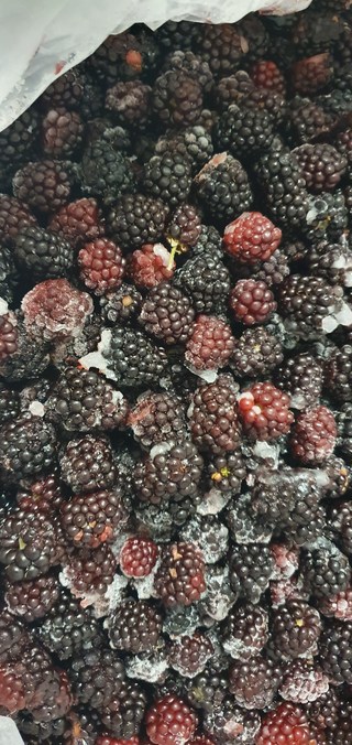 복분자 효능 여자