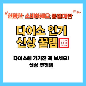 다이소 신상품 추천