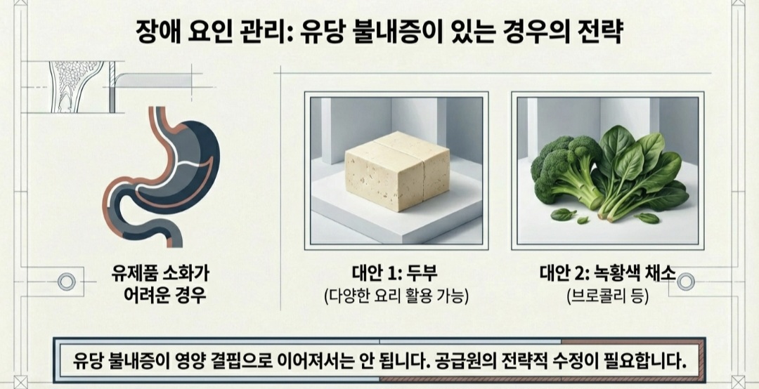 골다공증음식-사진9