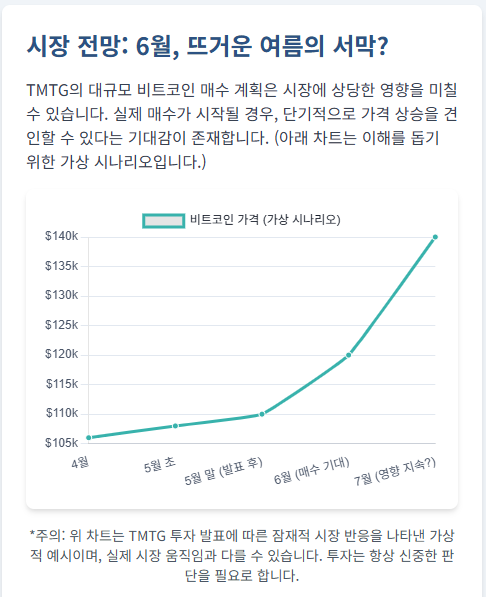 비트코인 시장전망