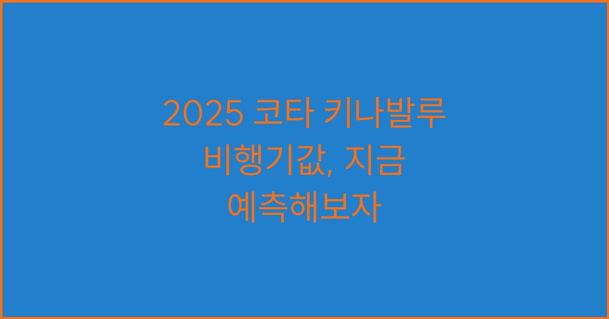 2025 코타 키나발루 비행기값