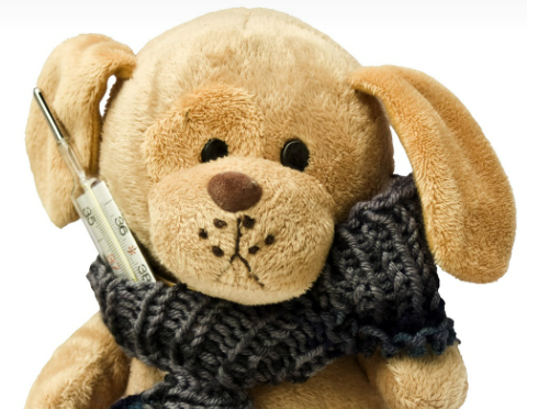 강아지 인형에 체온계가 꽂혀 있는 이미지