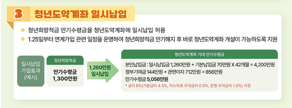 청년도약계좌 일시납입