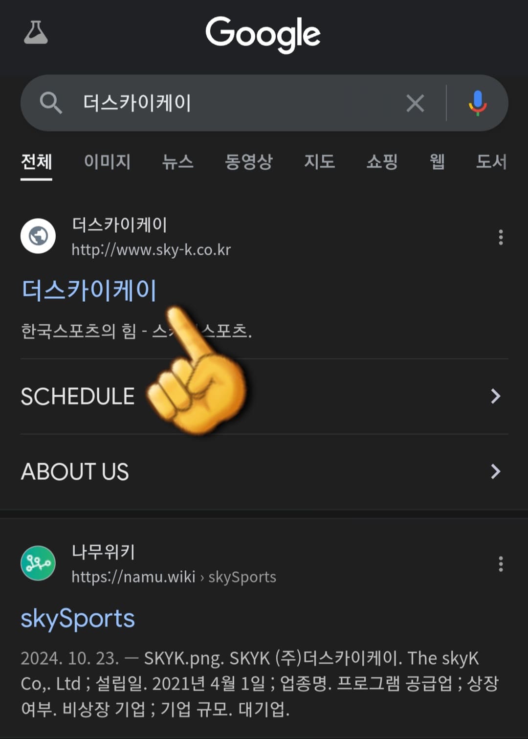 SKY-Sports-편성표-및-채널번호-안내-가장-상단에-있는-더스카이케이-홈페이지-클릭하기