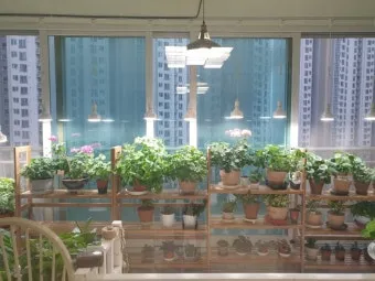 타이머 세팅 자동점등 소등루틴 식물등사용 습관 만들기 편리한 관리_11