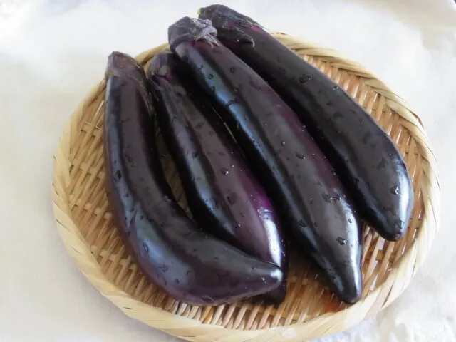 항염 작용 도움 가지 효능