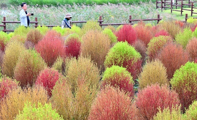 2024 가을 캠핑 준비물