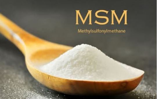 관절-영양제-추천