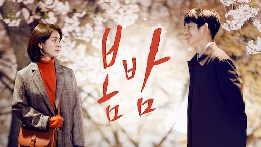 한국 드라마 '봄밤' 대표 이미지