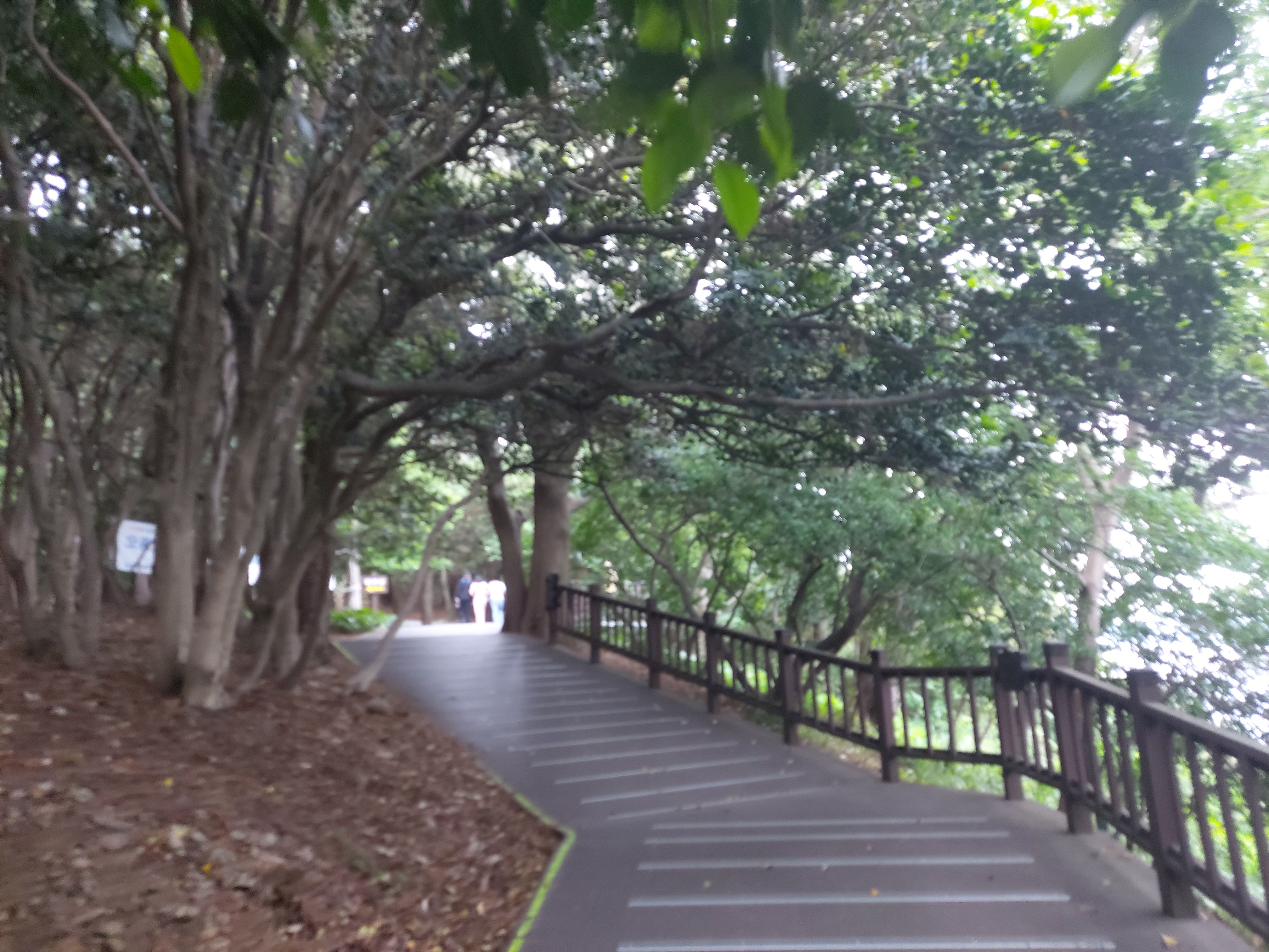 여수오동도맛집