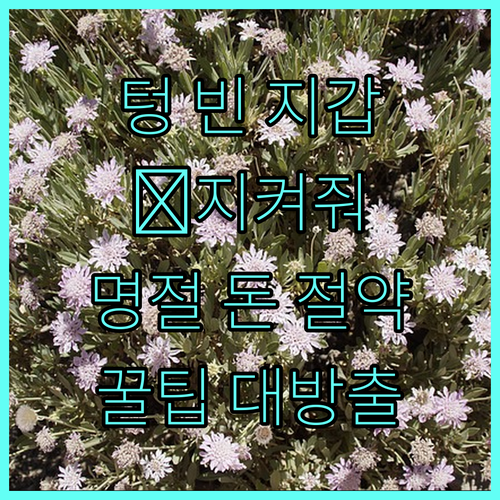명절 후 텅 빈 지갑은 이제 그만!