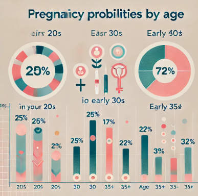 배란일-임신확률